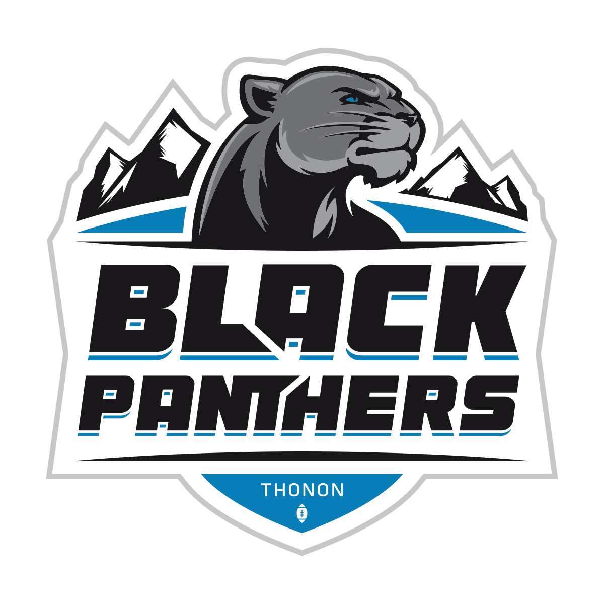 Blason-Black-Panthers_fond